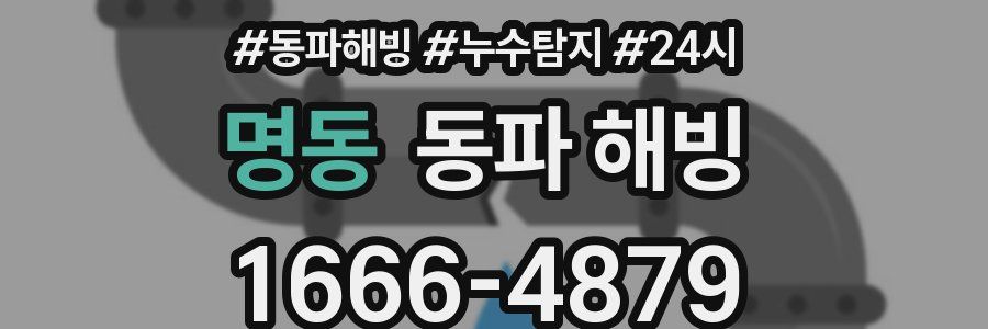 명동 동파