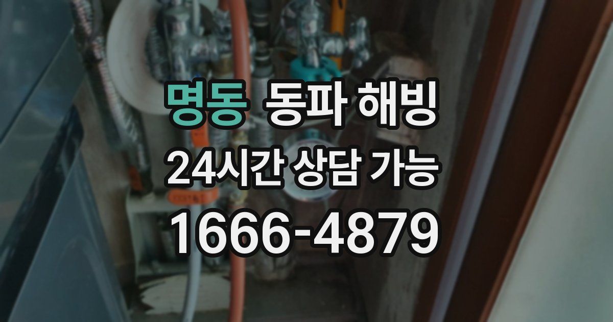 명동 동파 해빙