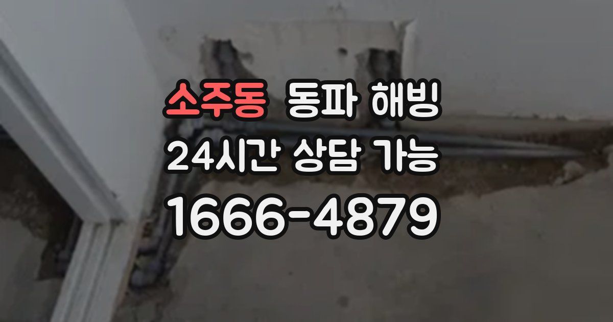 소주동 동파 해빙