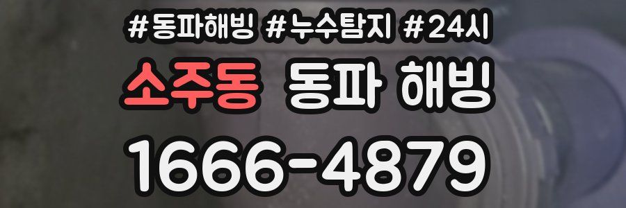 소주동 동파