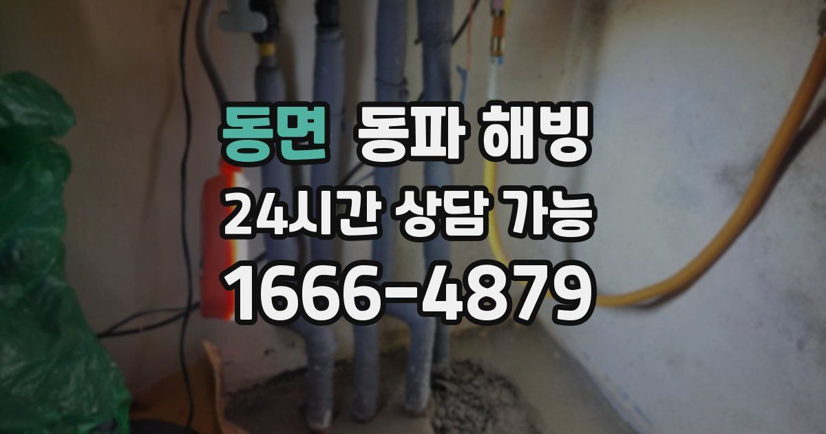 동면 동파 해빙