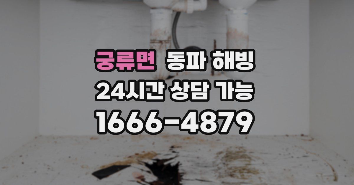 궁류면 동파 해빙