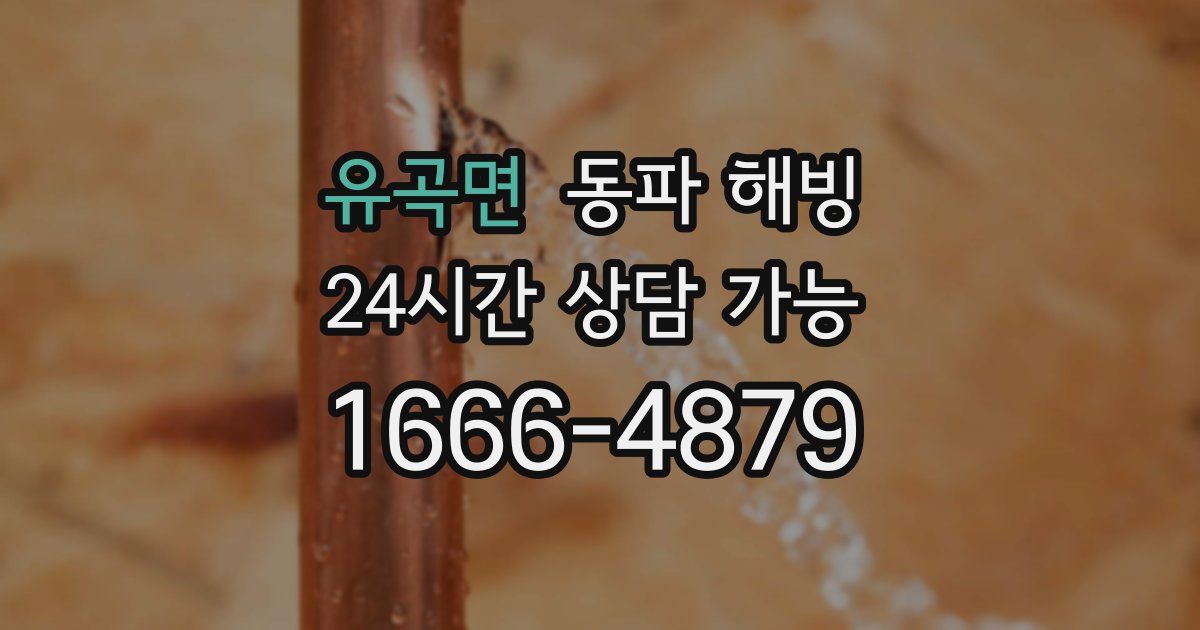 유곡면 동파 해빙