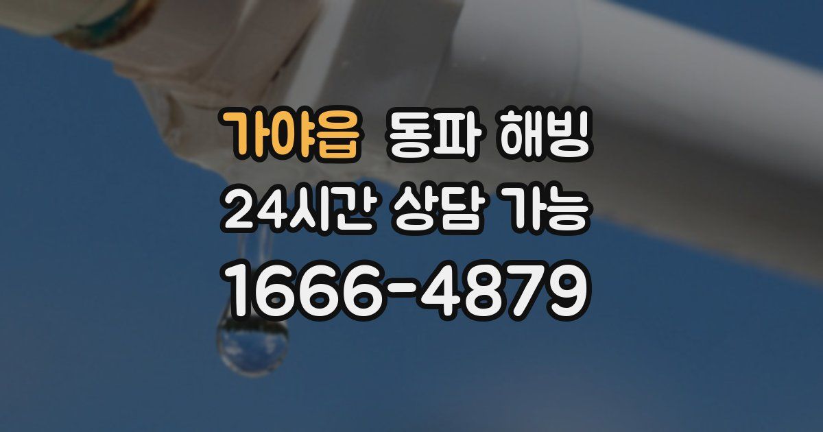 가야읍 동파 해빙