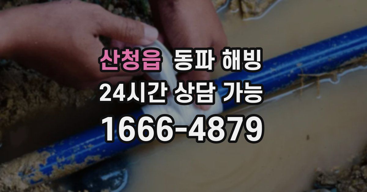 산청읍 동파 해빙