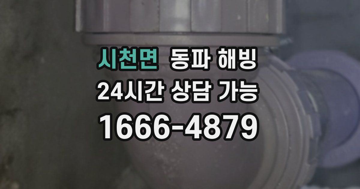 시천면 동파 해빙