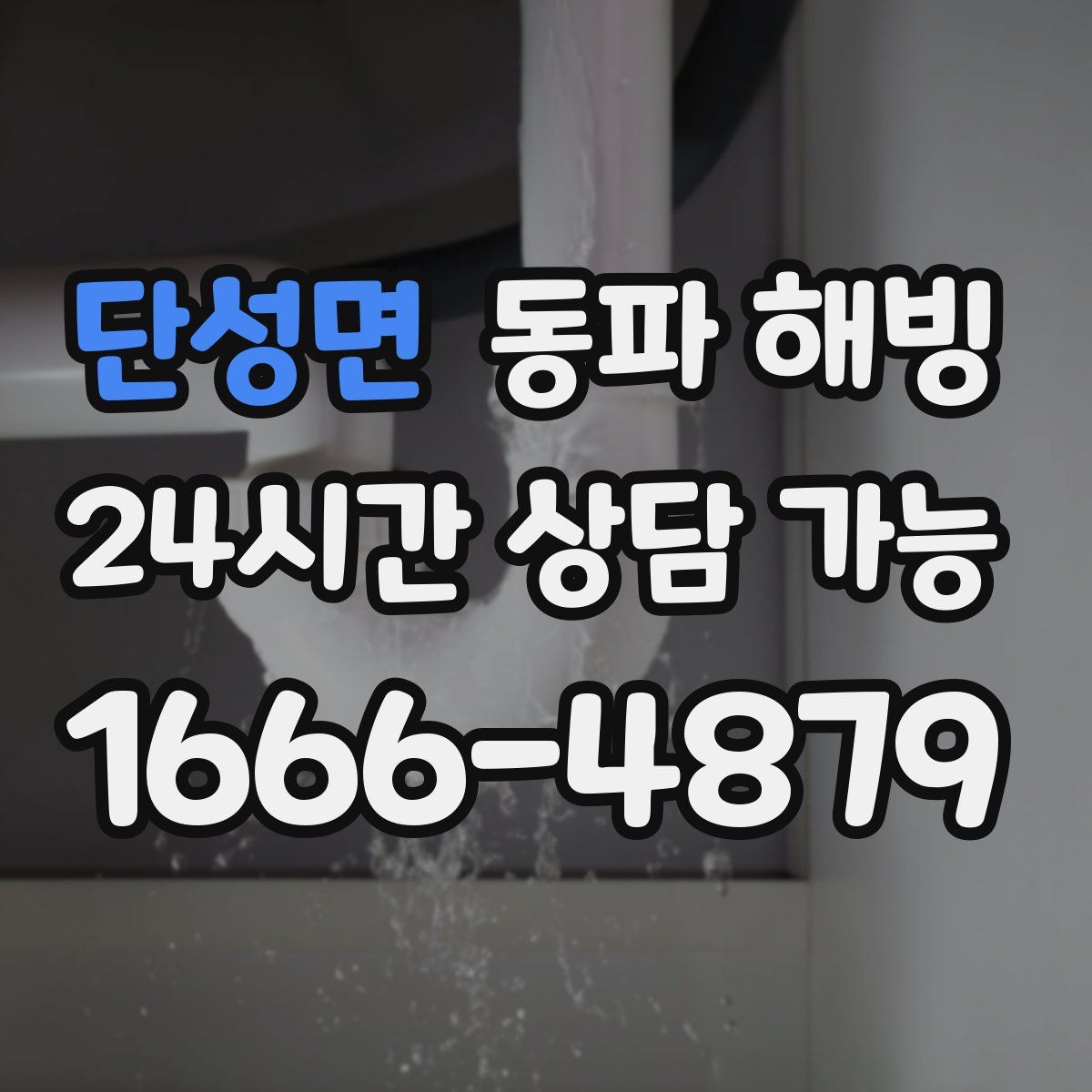 단성면 해빙