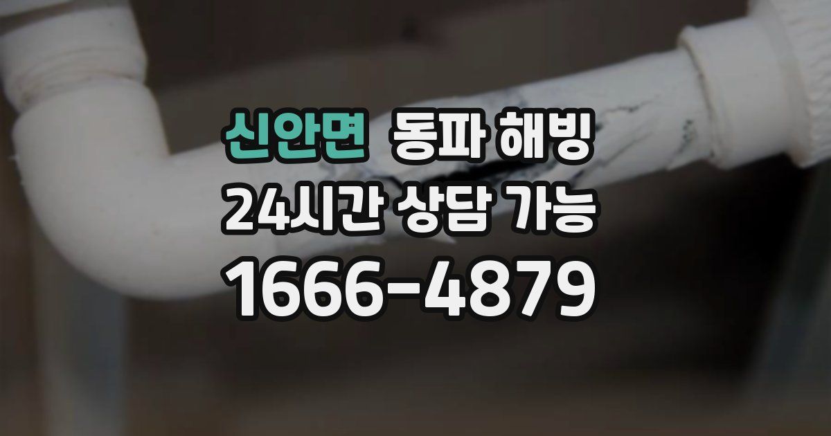 신안면 동파 해빙