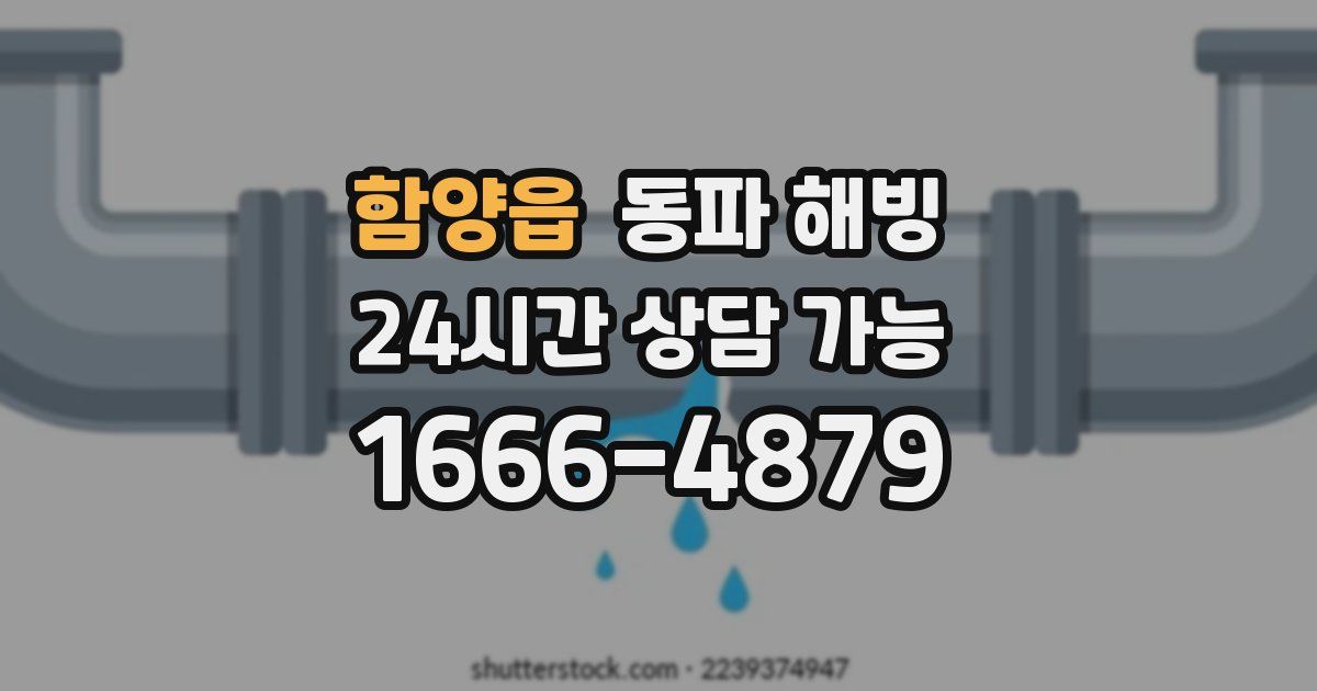 함양읍 동파 해빙