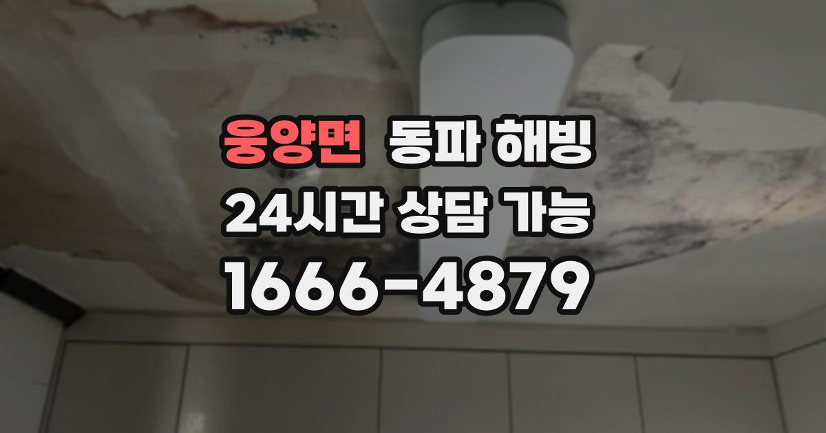 웅양면 동파 해빙