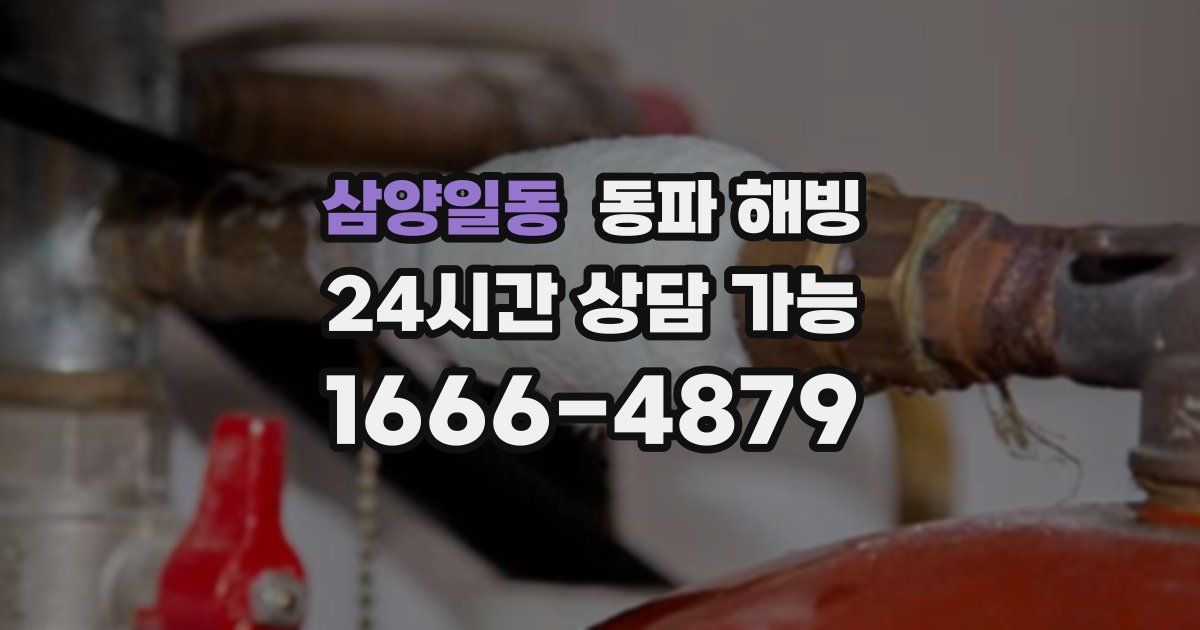 삼양일동 동파 해빙