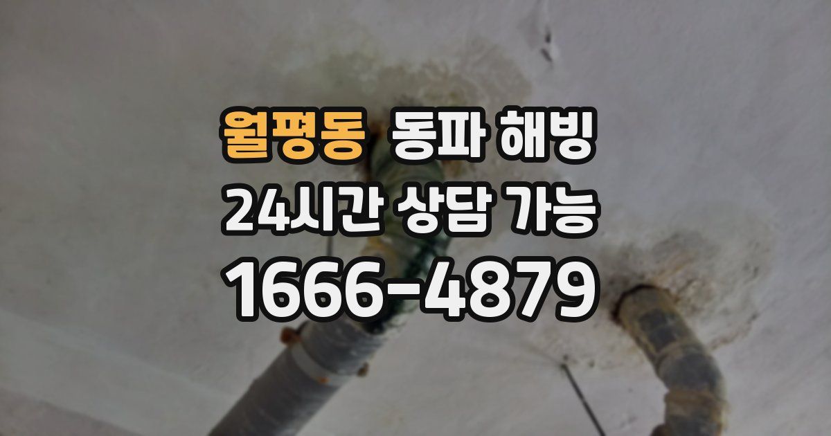 월평동 동파 해빙