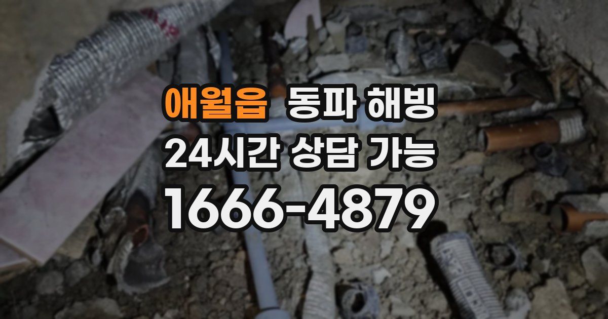 애월읍 동파 해빙