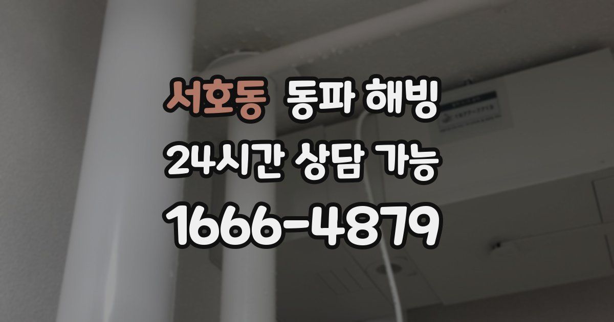 서호동 동파 해빙