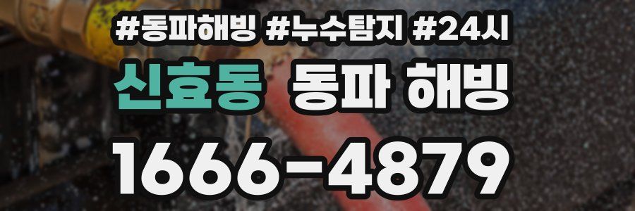 신효동 동파