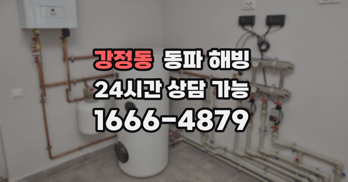 강정동 동파 해빙