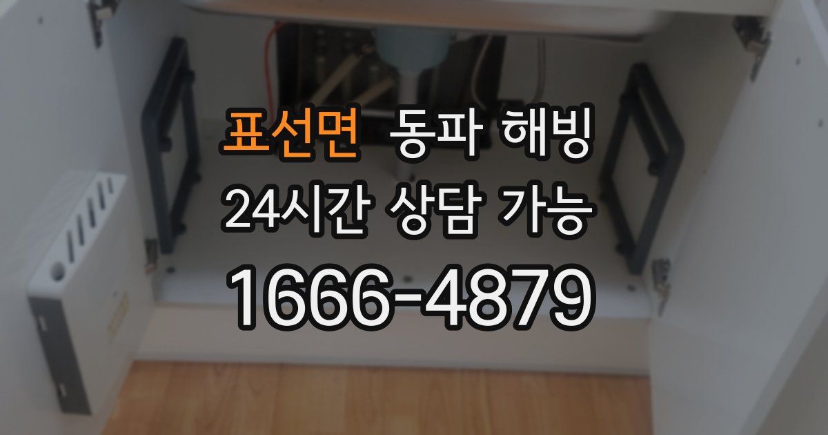 표선면 동파 해빙