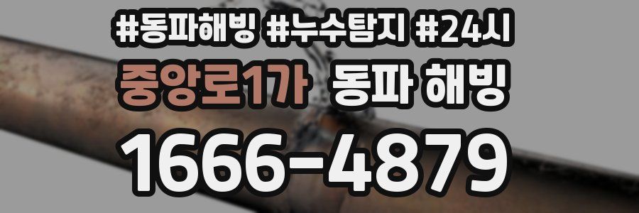 중앙로1가 동파