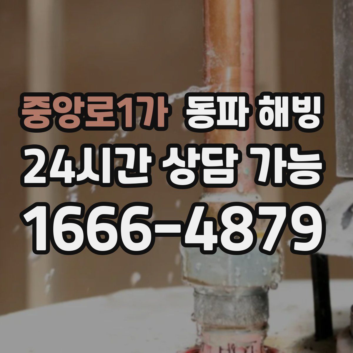 중앙로1가 해빙