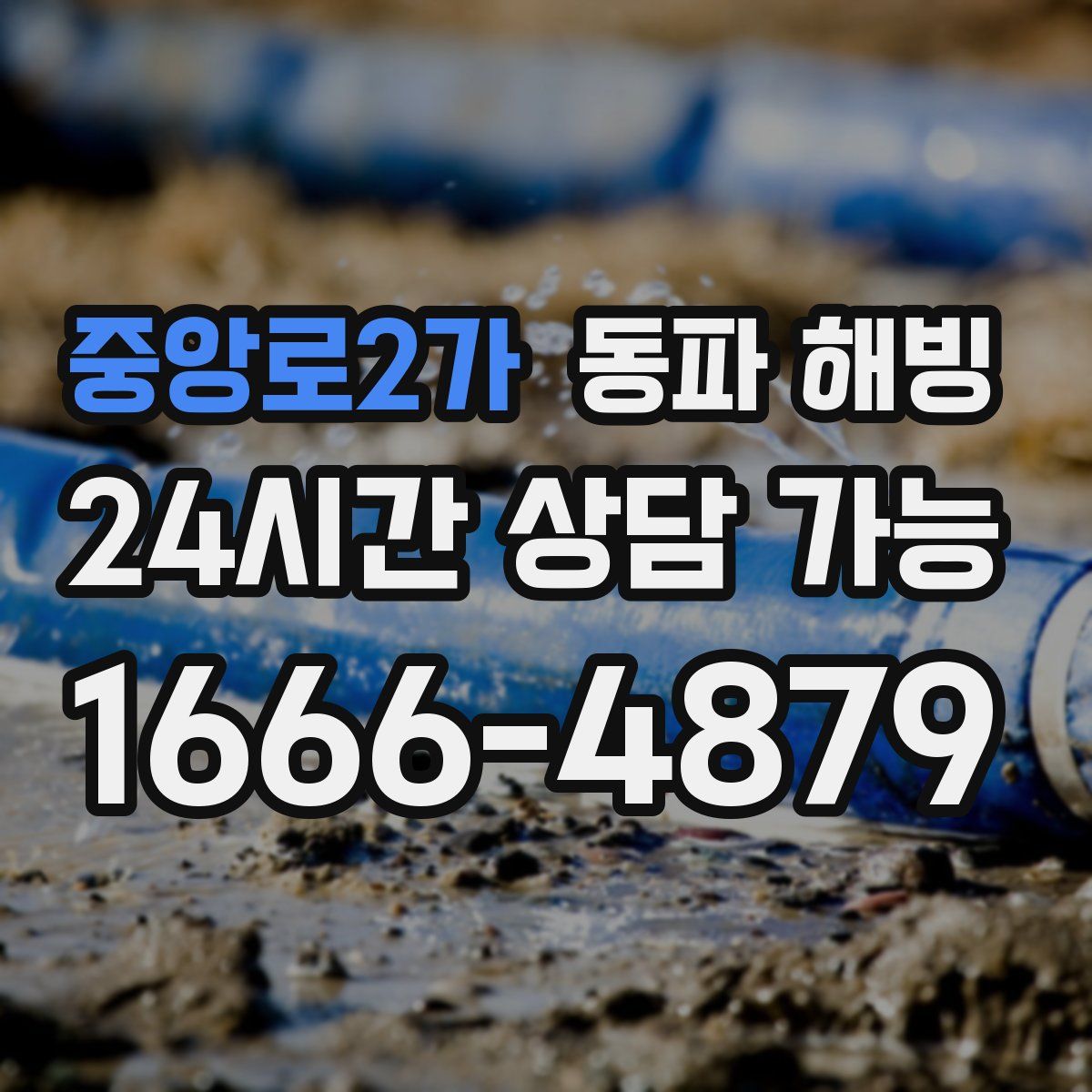 중앙로2가 해빙