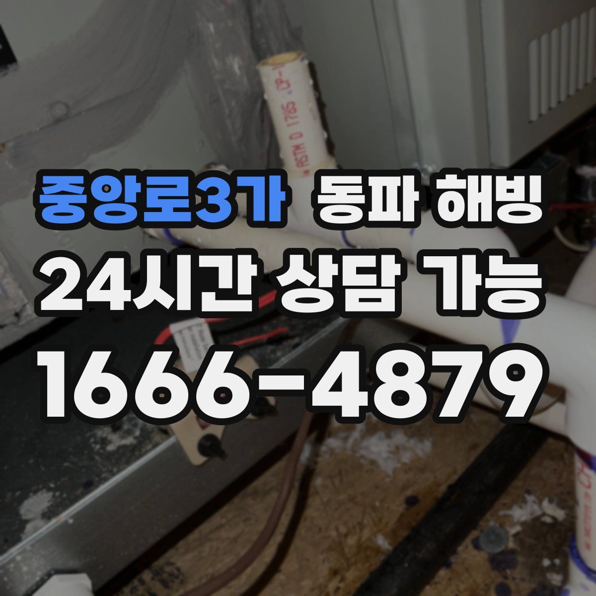 중앙로3가 해빙