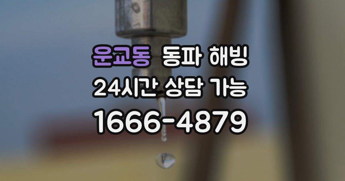 운교동 동파 해빙