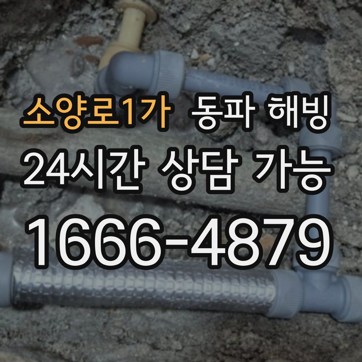 소양로1가 해빙