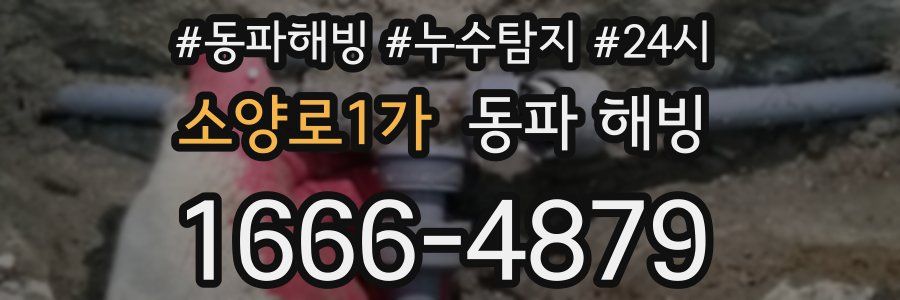 소양로1가 동파