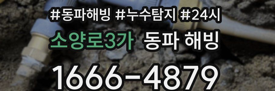 소양로3가 동파