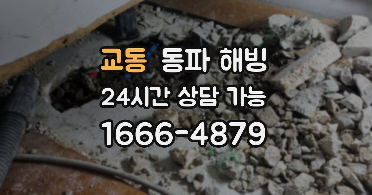 교동 동파 해빙