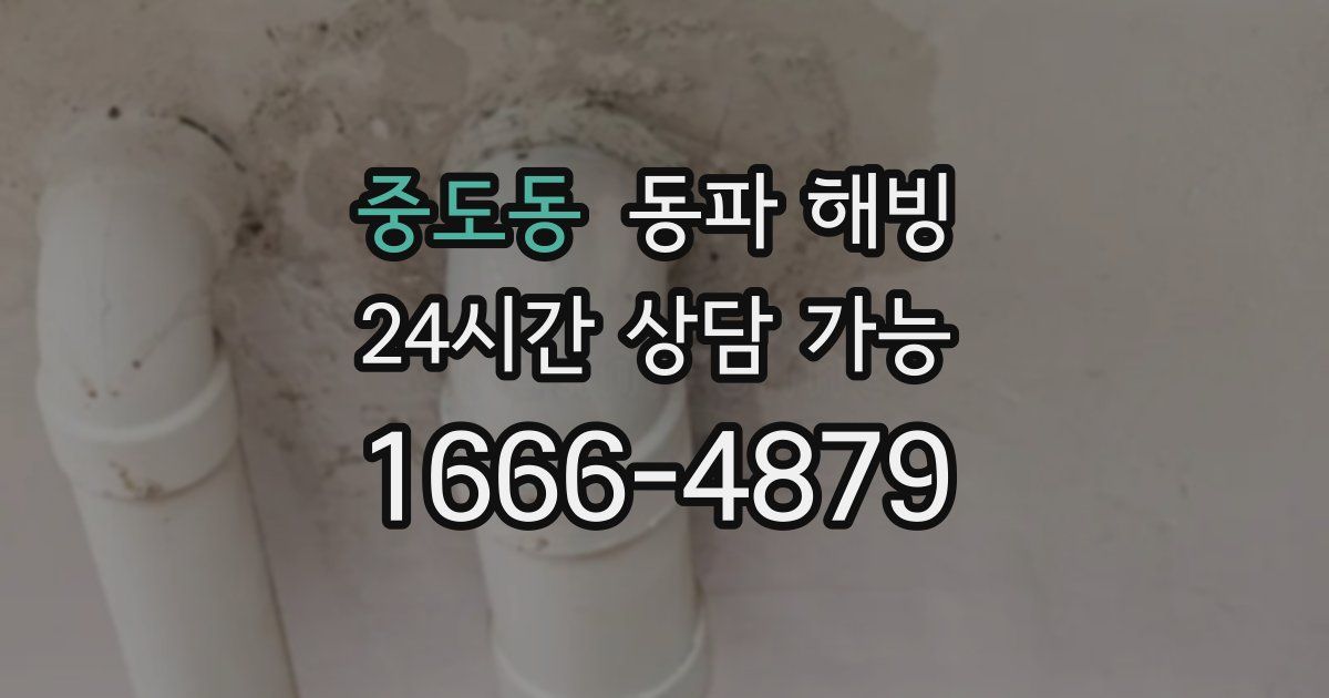 중도동 동파 해빙