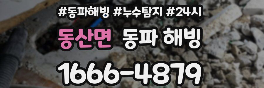 동산면 동파