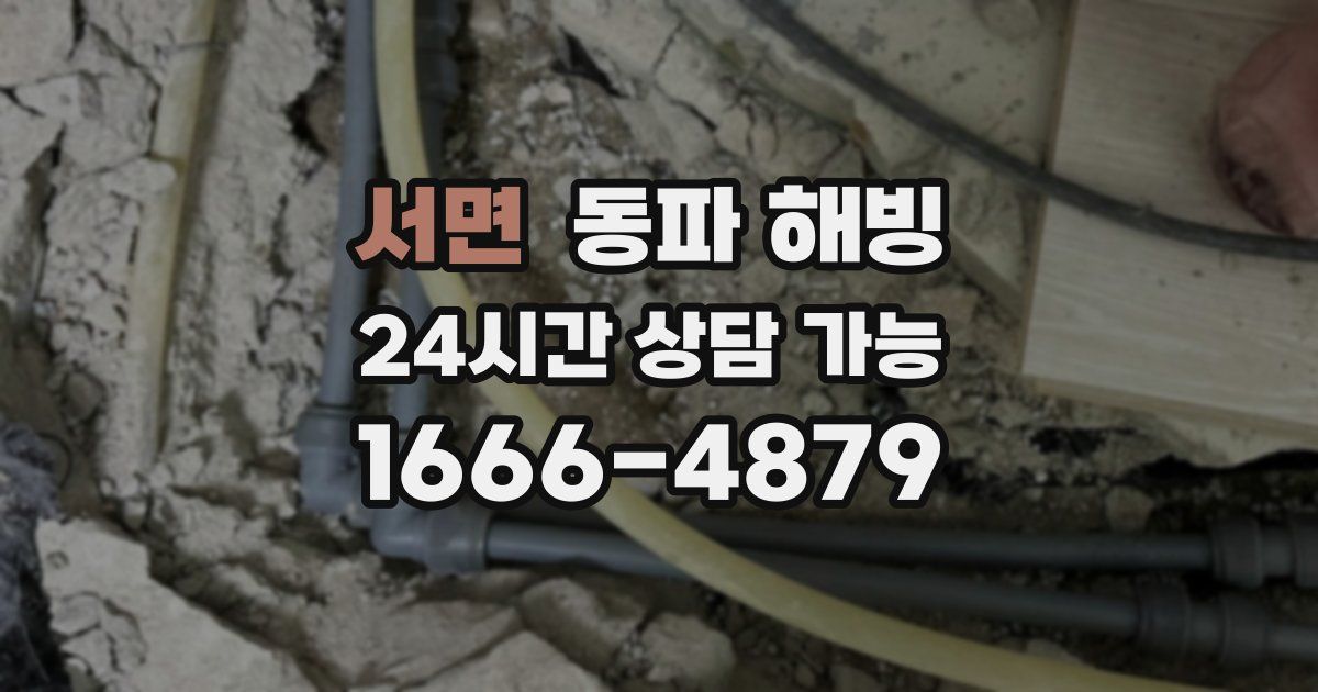 서면 동파 해빙