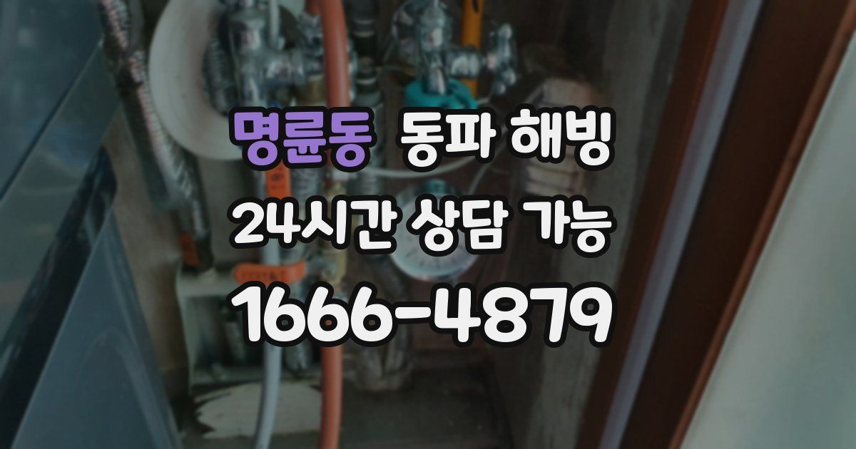 명륜동 동파 해빙