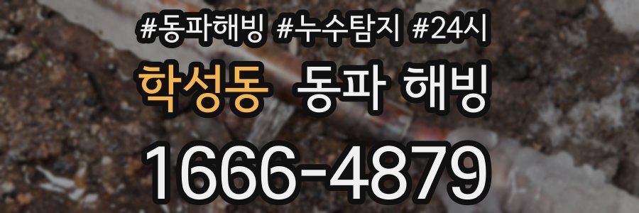 학성동 동파