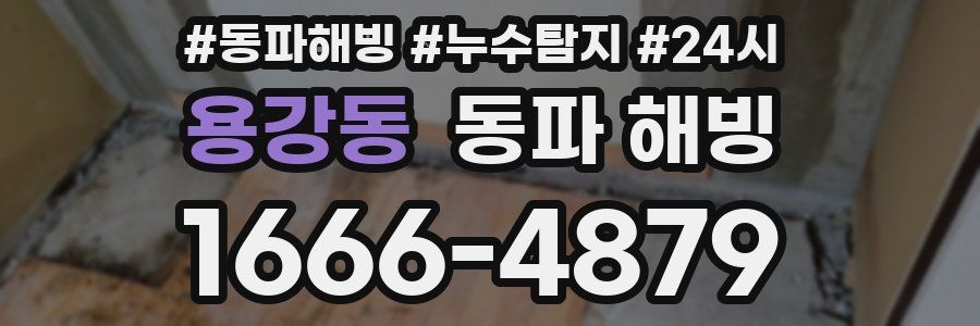 용강동 동파