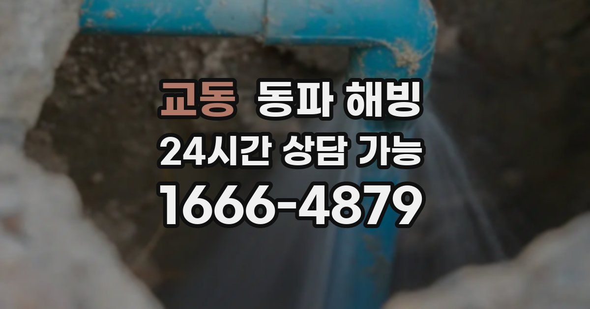 교동 동파 해빙