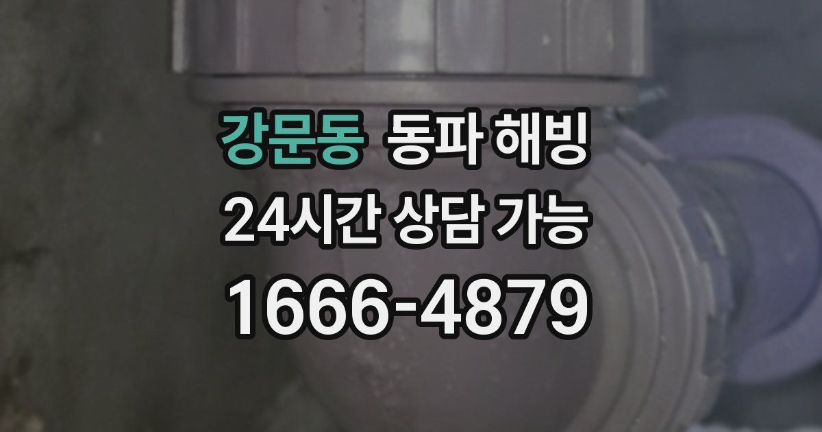 강문동 동파 해빙