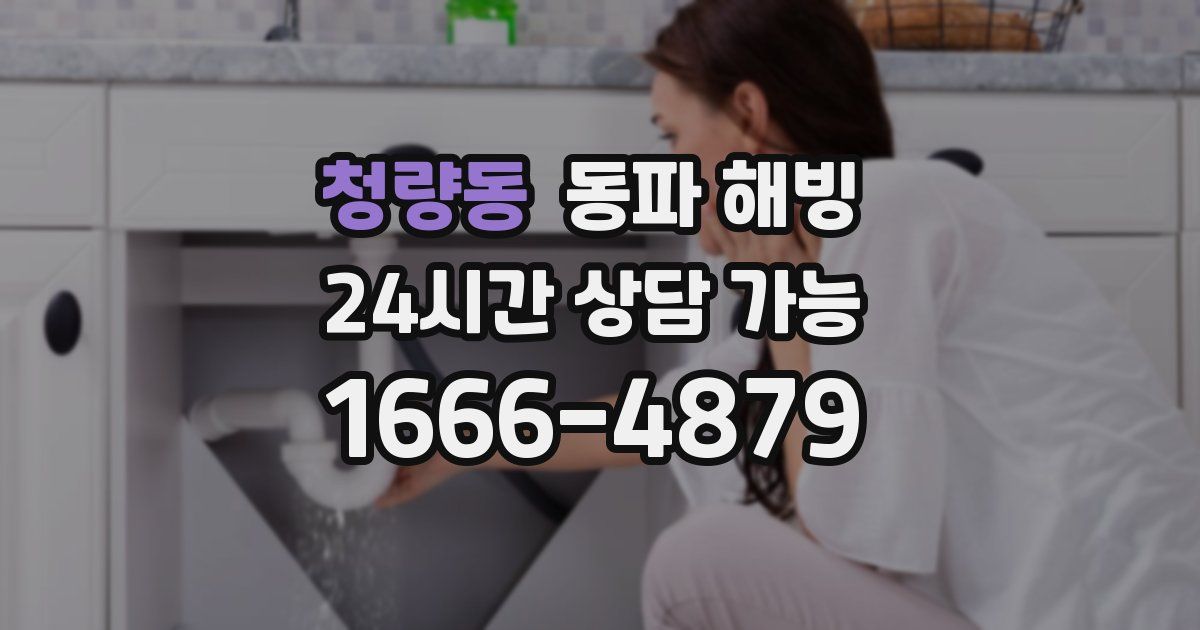 청량동 동파 해빙