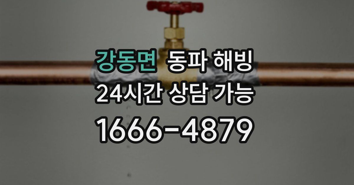 강동면 동파 해빙