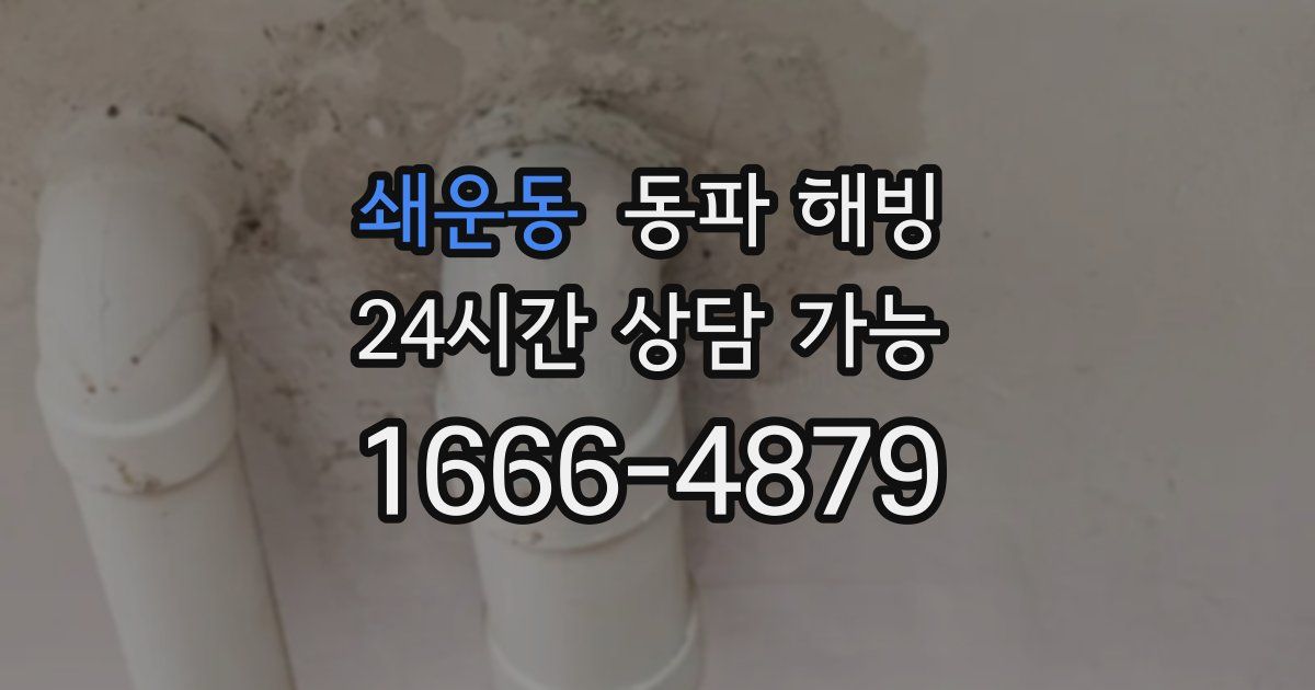 쇄운동 동파 해빙