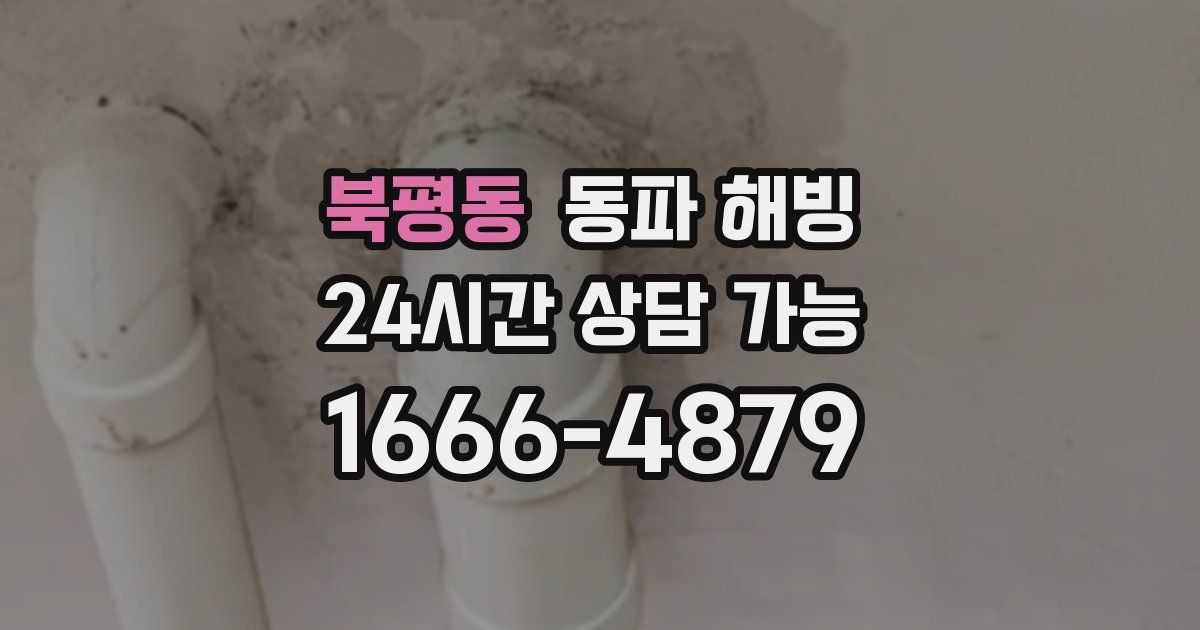 북평동 동파 해빙