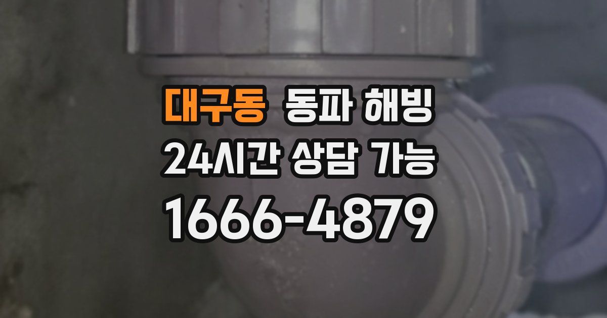 대구동 동파 해빙