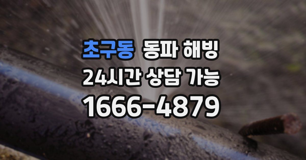 초구동 동파 해빙