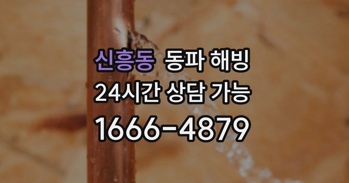 신흥동 동파 해빙