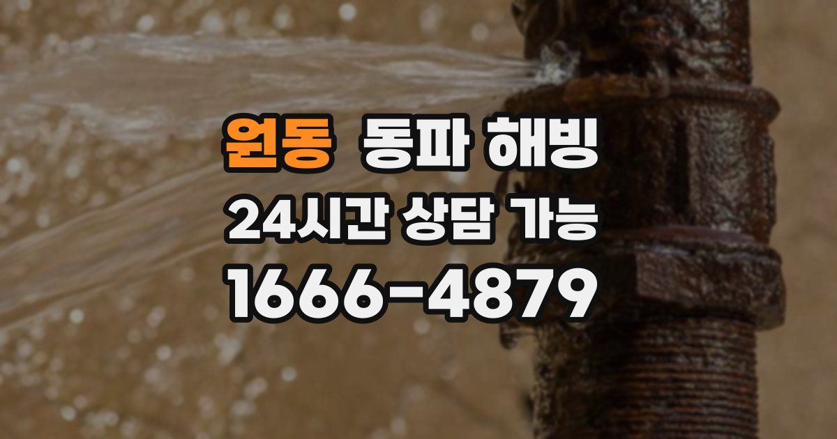 원동 동파 해빙