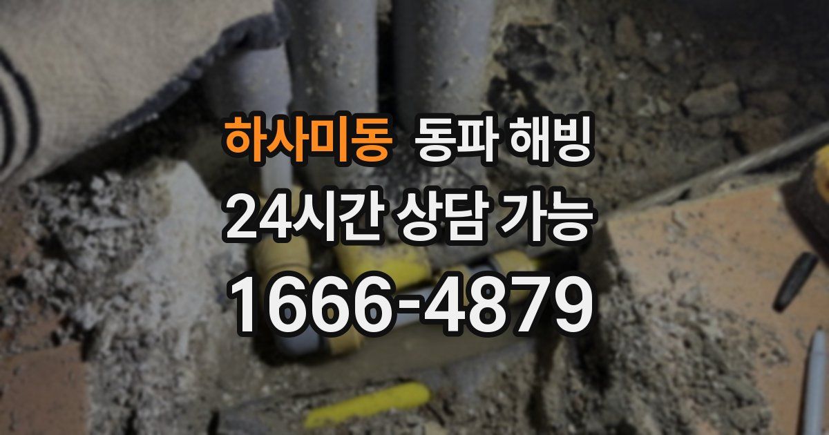 하사미동 동파 해빙