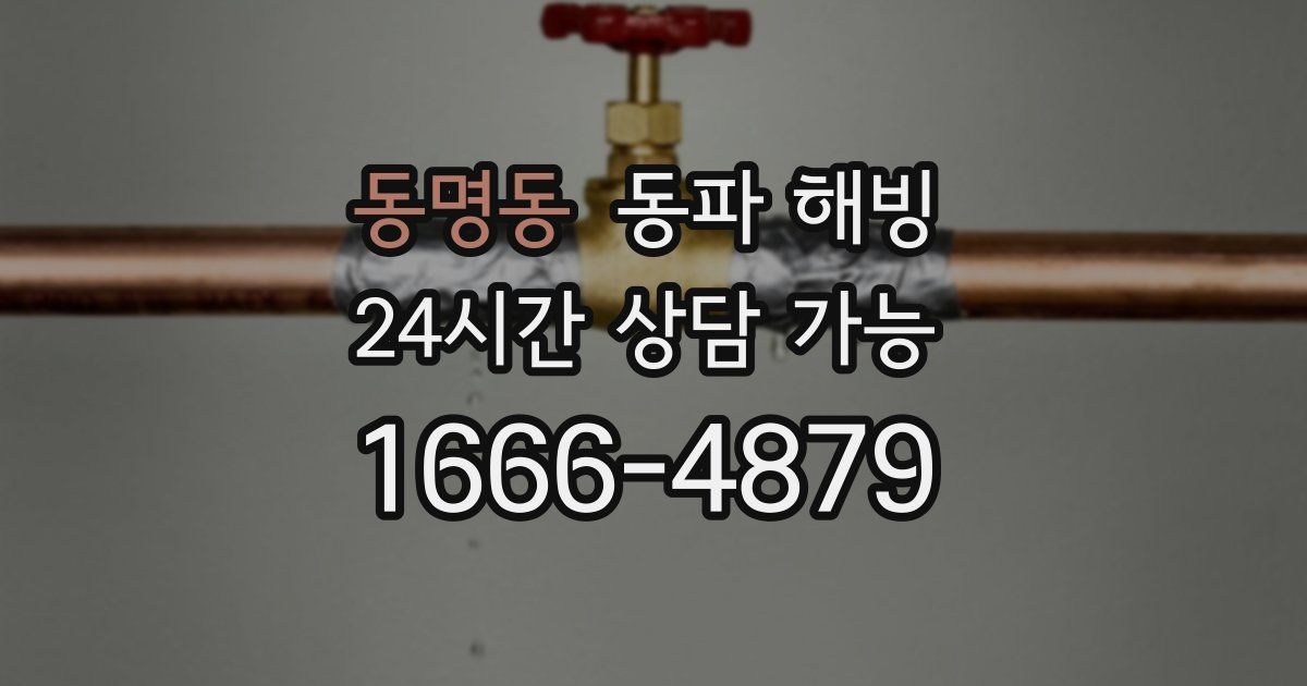 동명동 동파 해빙