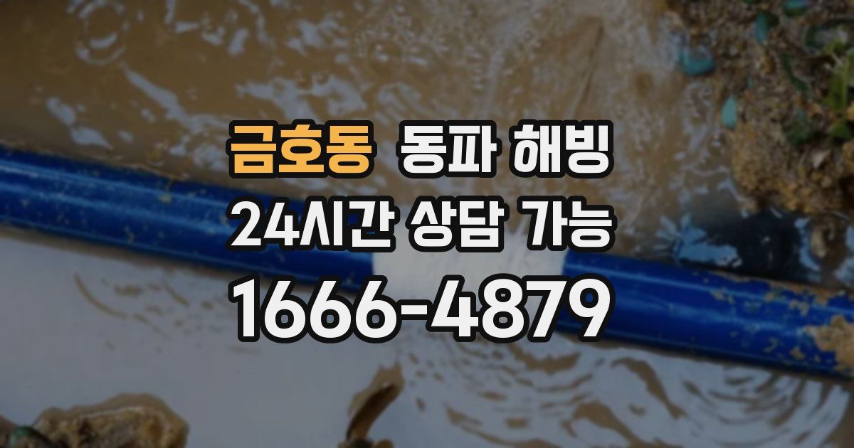 금호동 동파 해빙