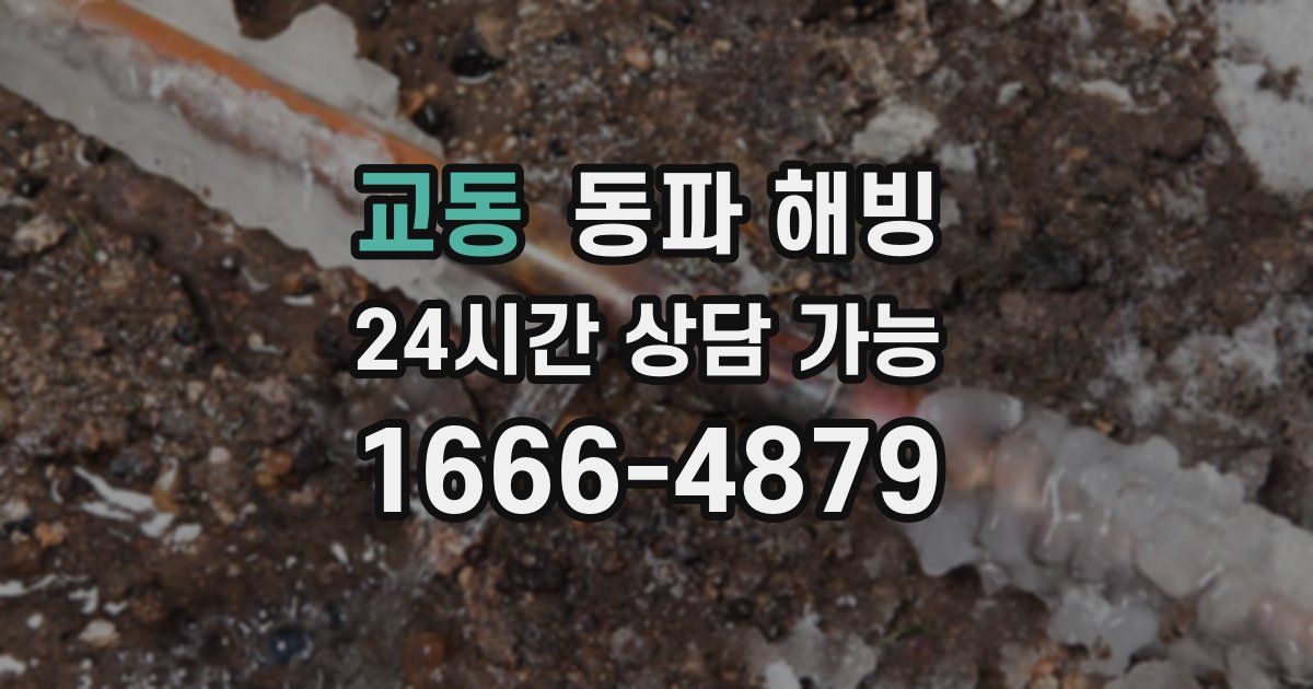 교동 동파 해빙